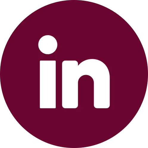 icone del seguici su linkedin per welcomereggiocalabria.com