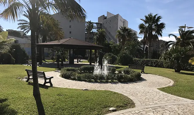 Panoramic view of the Palmarium in Reggio Calabria, with exotic palms, a bronze fountain, and stone pathways.