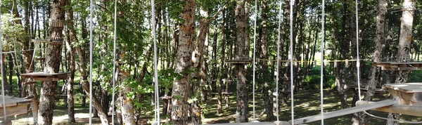 Visitors enjoying climbing and zip-lining activities at Aspropark surrounded by Aspromonte mountains.