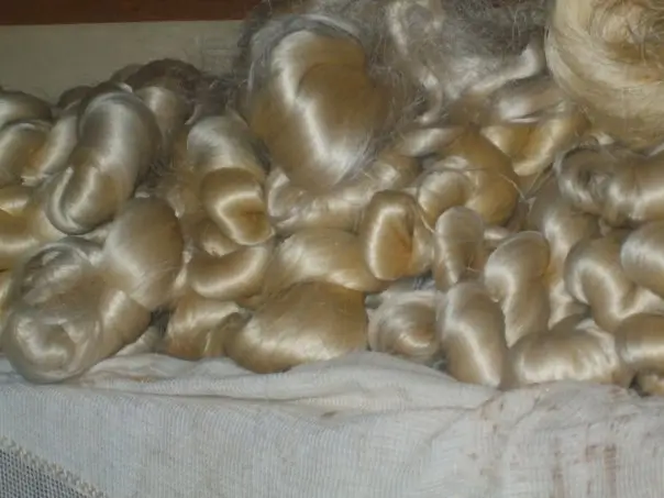 Close-up of natural silk threads and cocoons displayed at the Ecomuseum of Silk and Rural Traditions in Ortì.