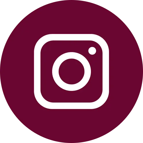 icone del seguici su Instagram per welcomereggiocalabria.com